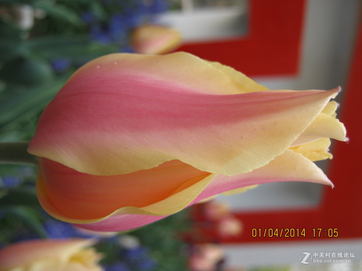 佳能系列A490.绝笔