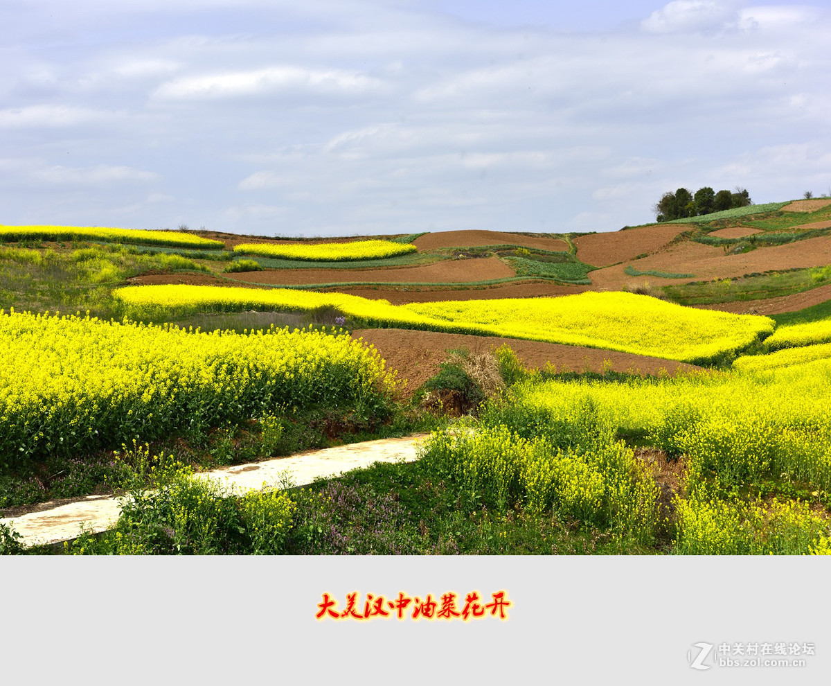 在陕西汉中万亩油菜花海中，感受春的气息，与春天一起律动