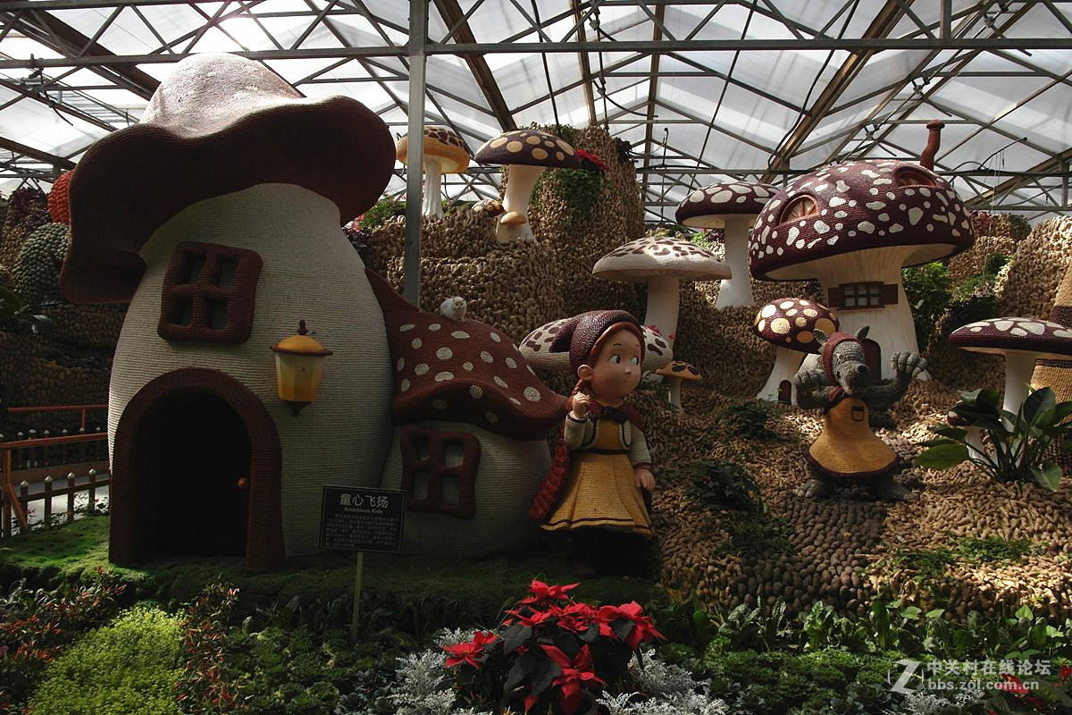 『艺术的菜博会-续』123...15P