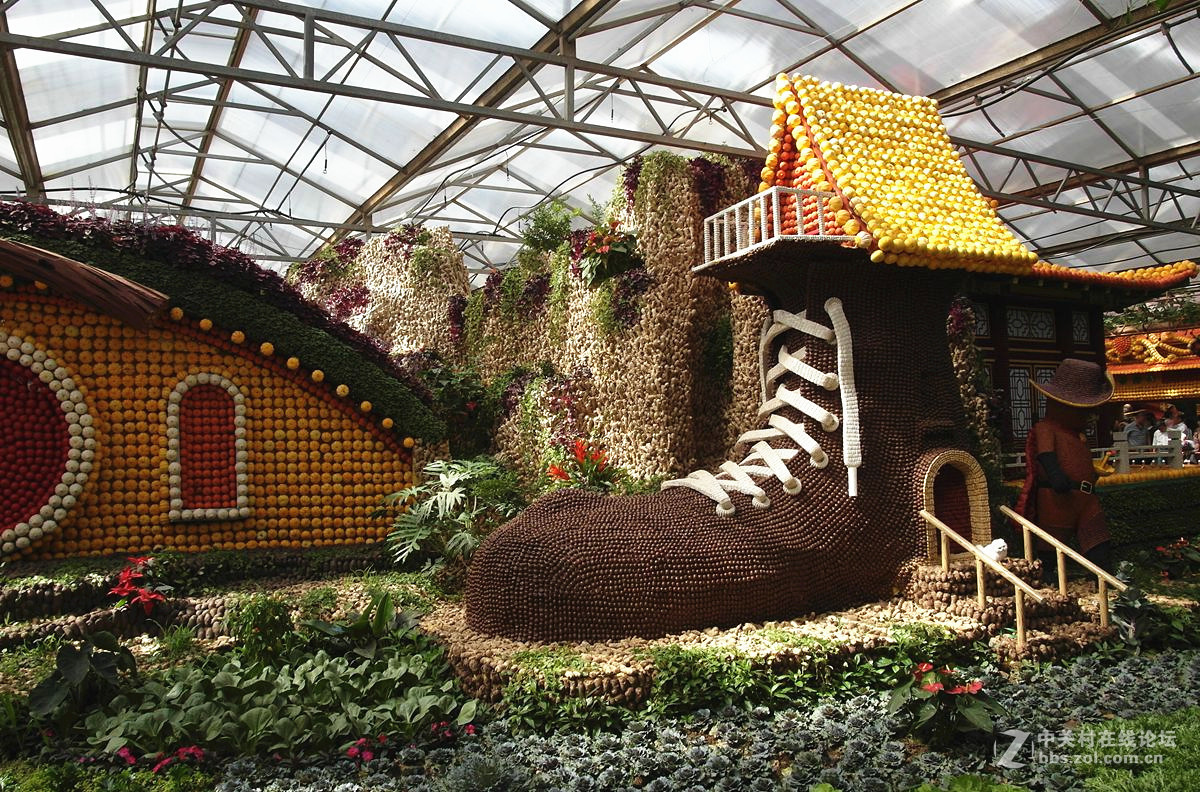 『艺术的菜博会-续』123...15P