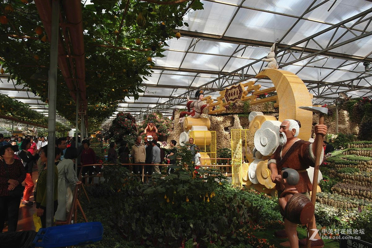 『艺术的菜博会-续』123...15P