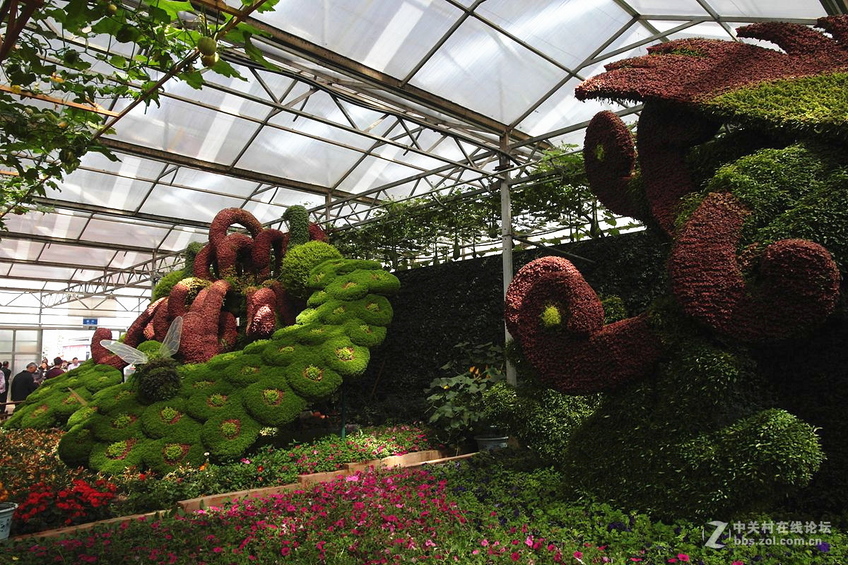 『艺术的菜博会-续』123...15P