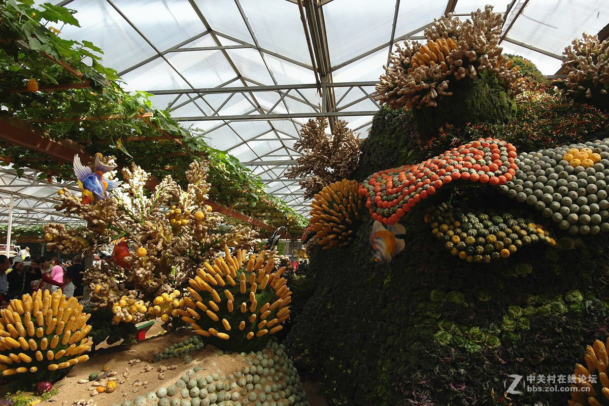 『艺术的菜博会-续』123...15P