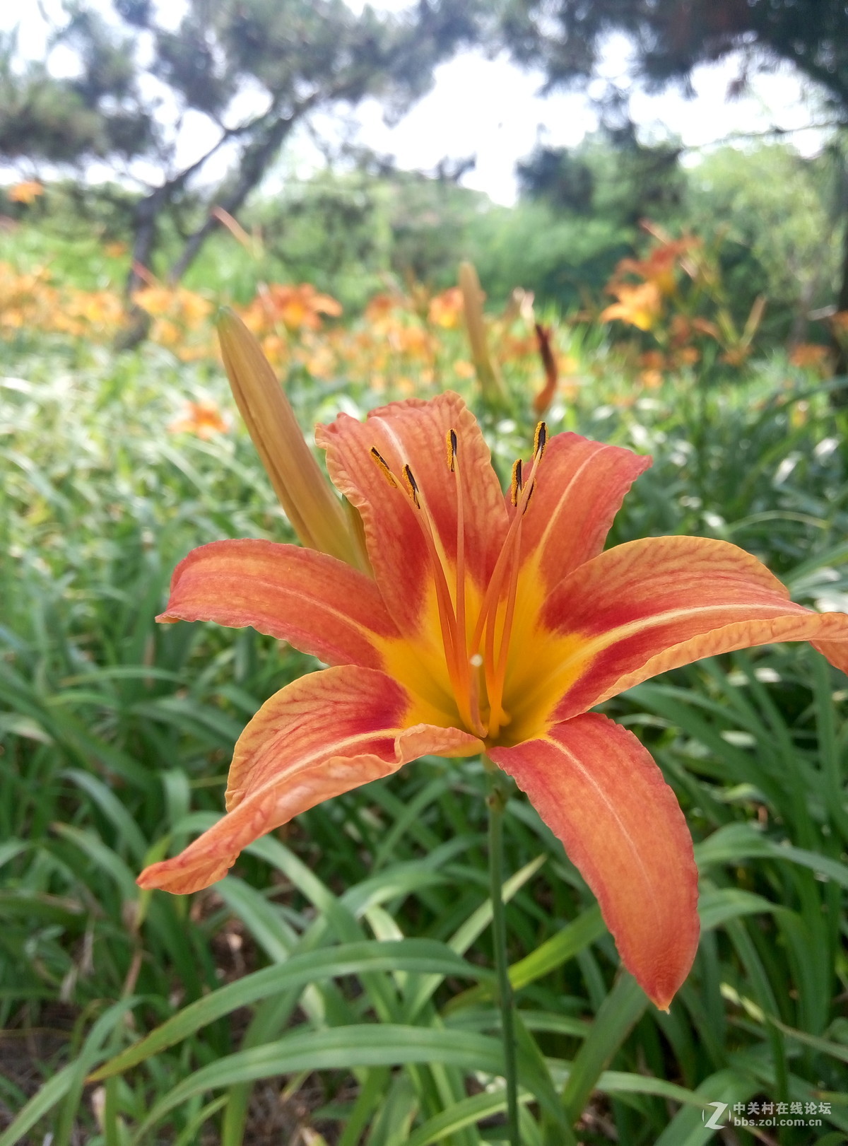 差距到底有多大？华为麦芒5和魅蓝note1拍照对比