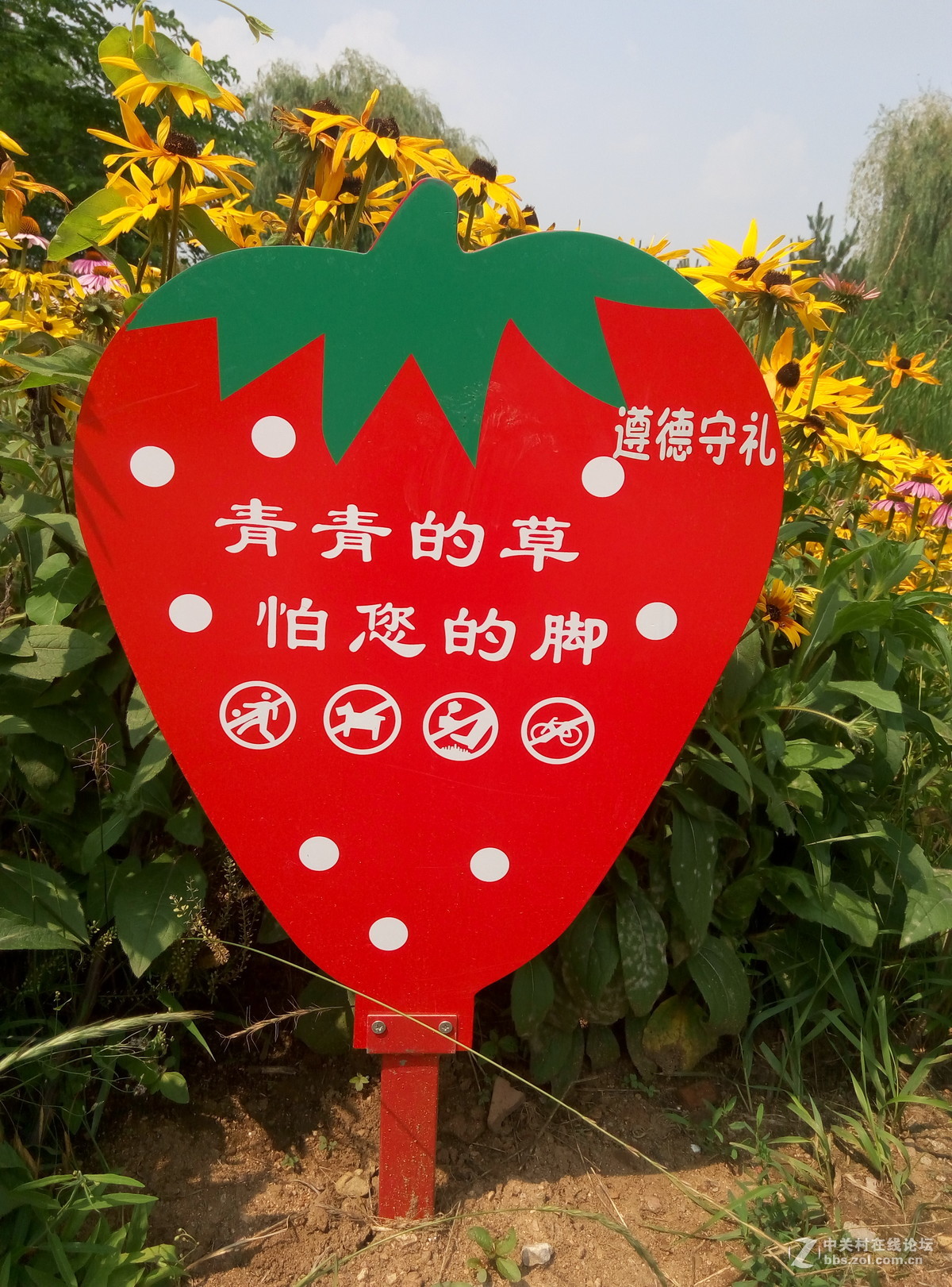 差距到底有多大？华为麦芒5和魅蓝note1拍照对比