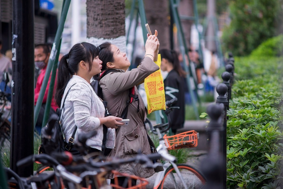 a7m2+Minolta AF 70-210mm f4.0 (扫街 )