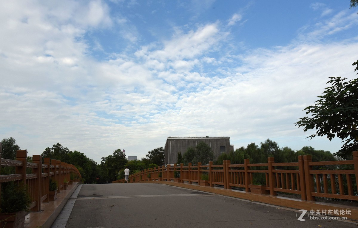 沛公园掠影（二）