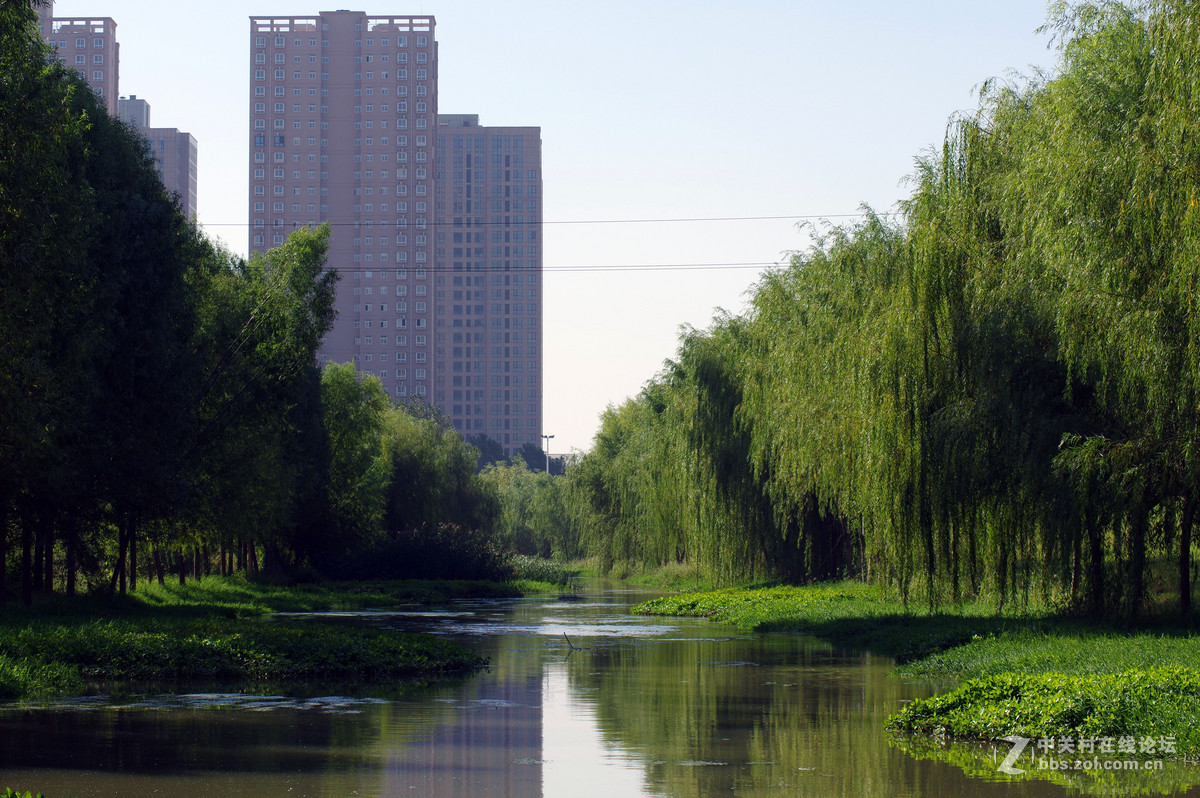 热烈庆祝开山兔 试机片