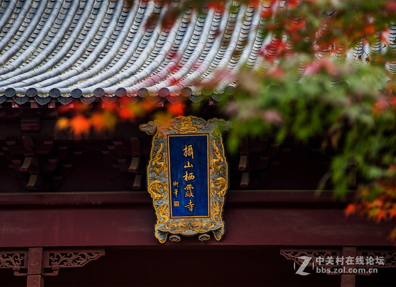 栖霞（南京）观叶