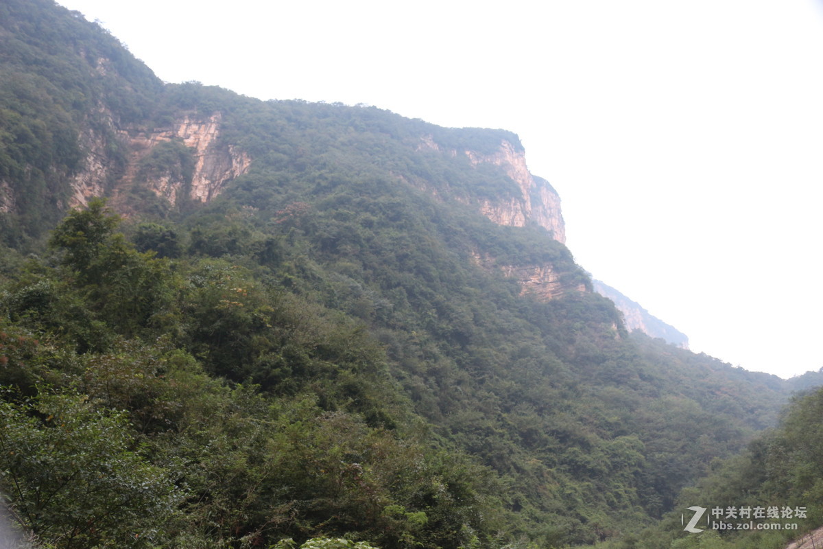 寻找传统老蜜（土蜂蜜）