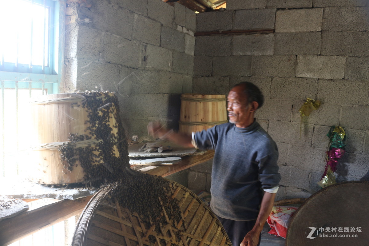寻找传统老蜜（土蜂蜜）