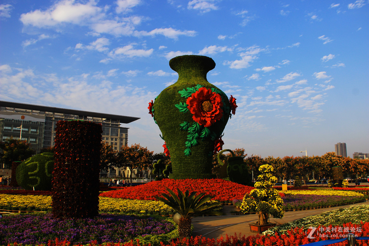 市政广场花坛囍庆国庆节4