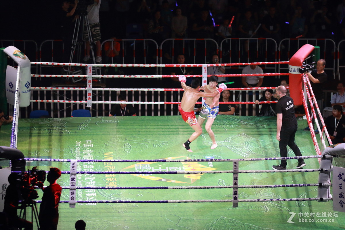 武王争霸～～～～～～﹗