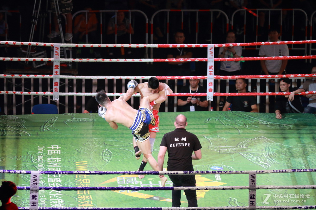 武王争霸～～～～～～﹗