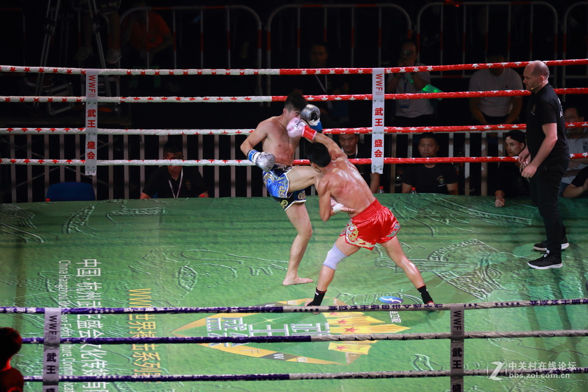 武王争霸～～～～～～﹗