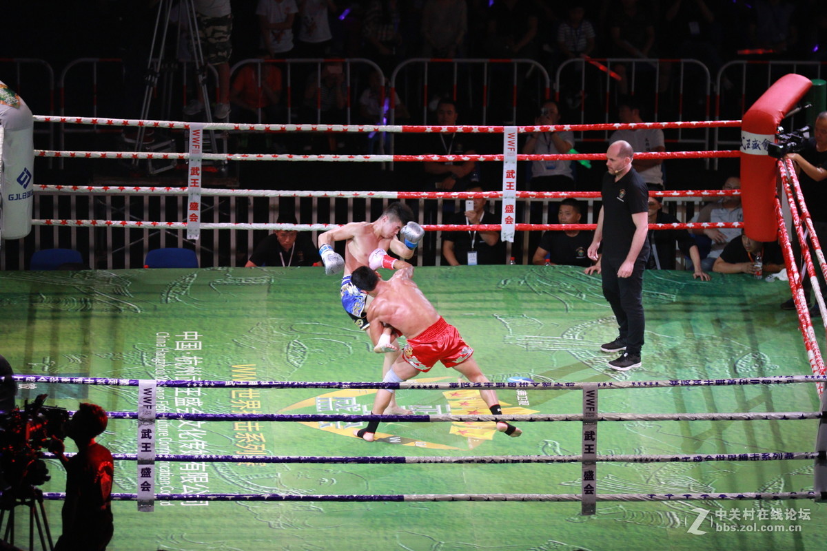 武王争霸～～～～～～﹗