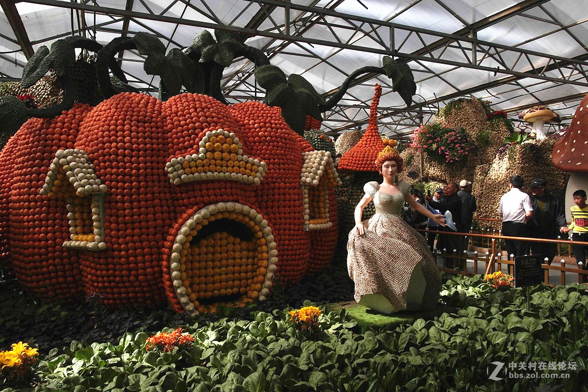 『艺术的菜博会-续』123...15P