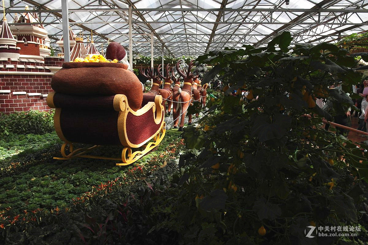 『艺术的菜博会-续』123...15P