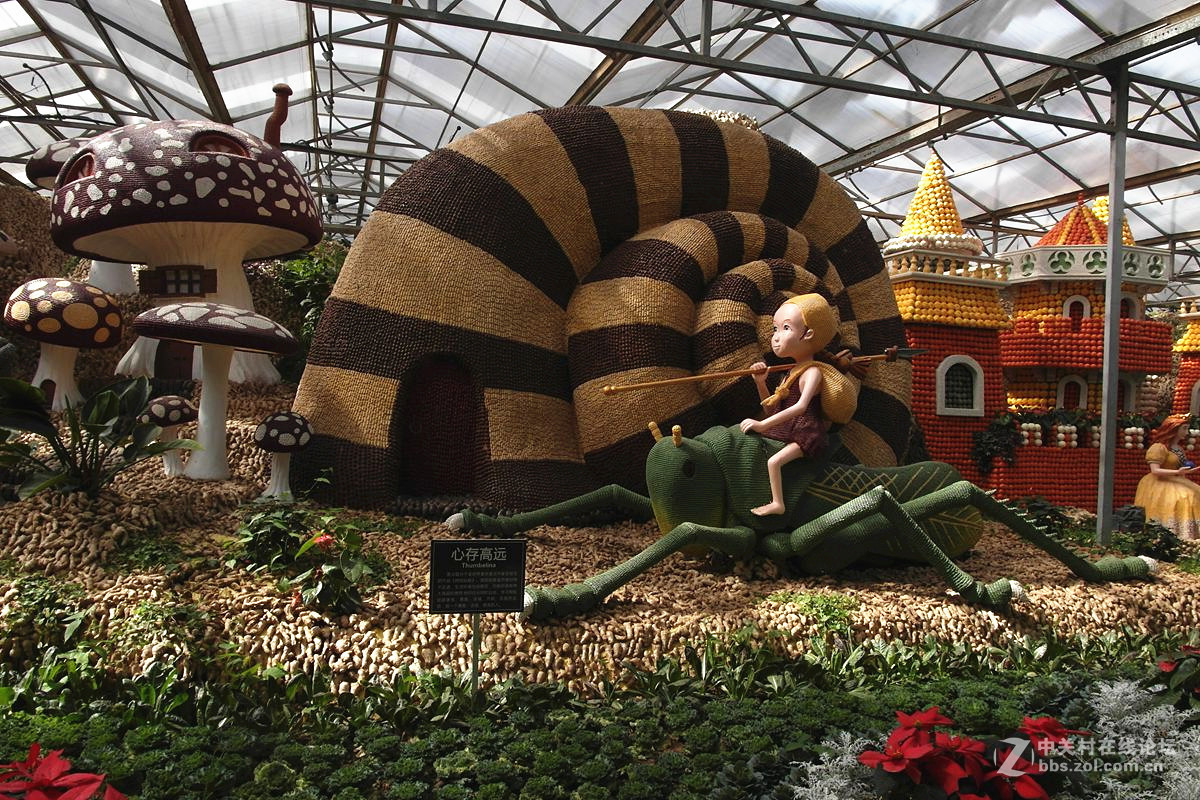 『艺术的菜博会-续』123...15P