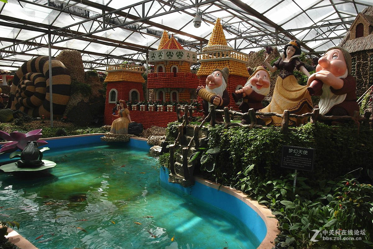 『艺术的菜博会-续』123...15P