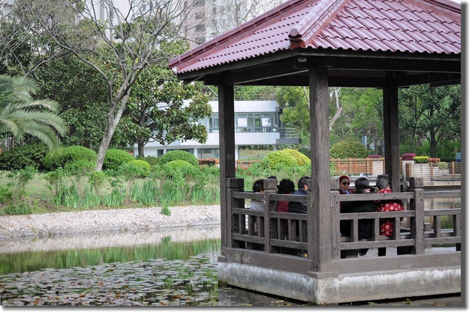 社区绿地