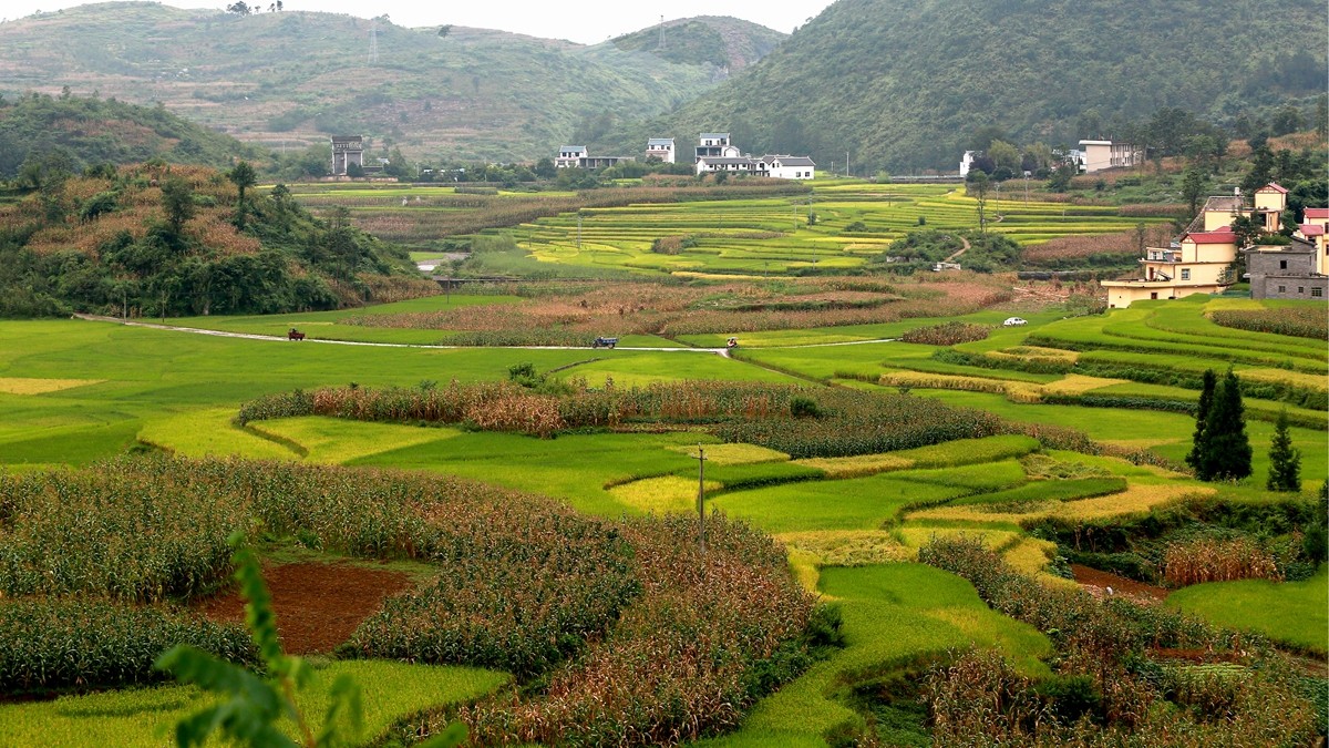 鄉村景色