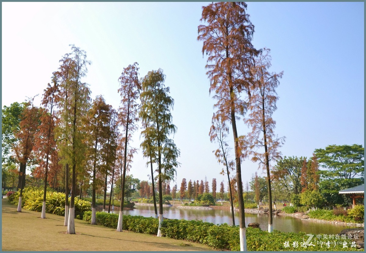广州大学城生物岛