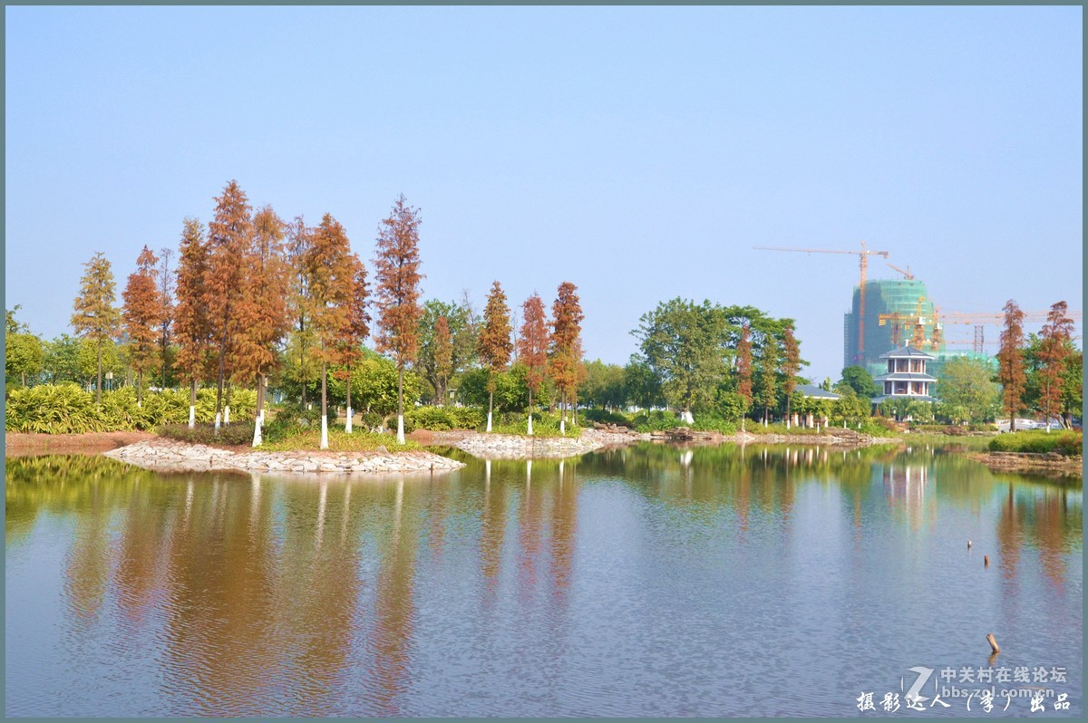 广州大学城生物岛