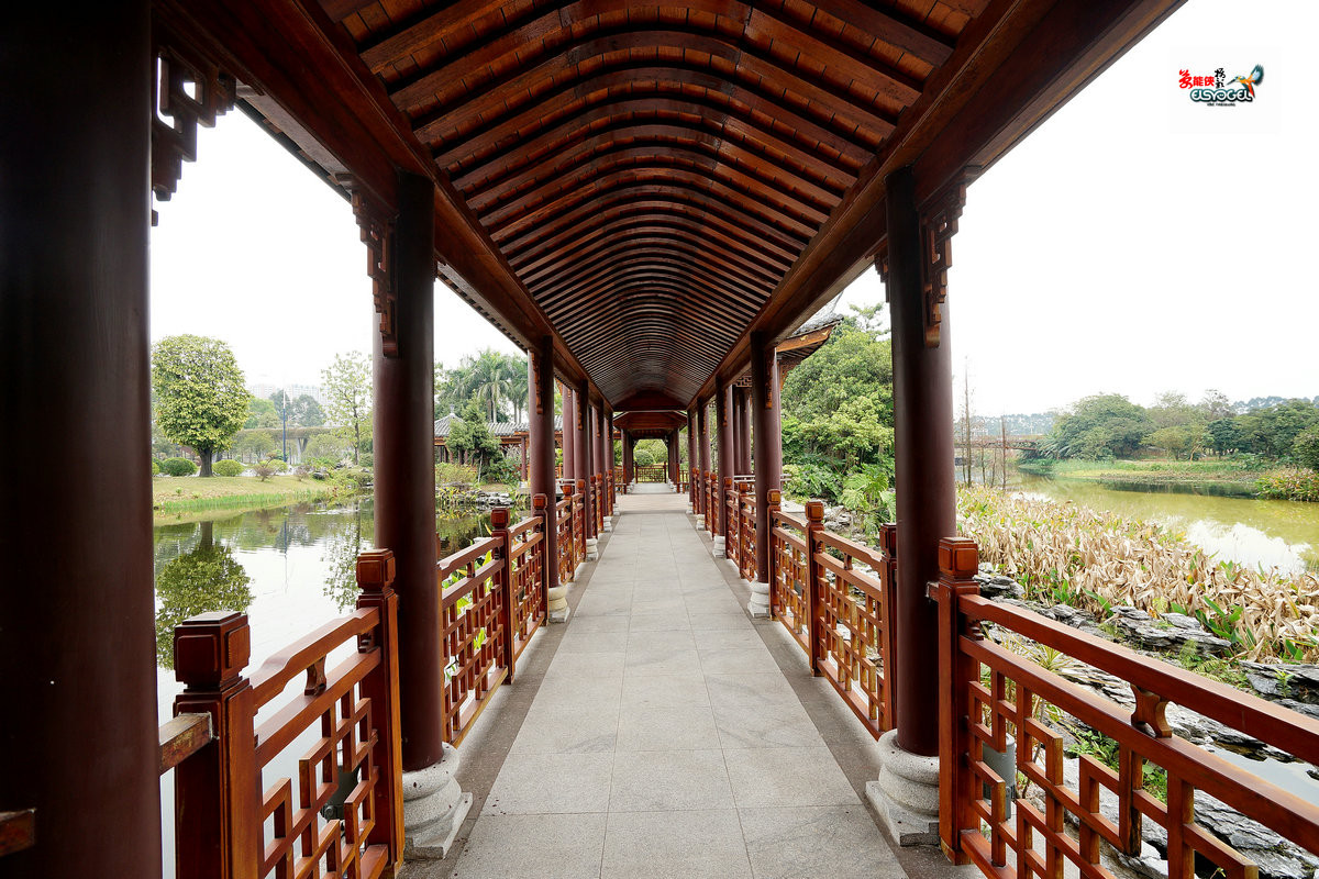 随拍海珠湿地长廊