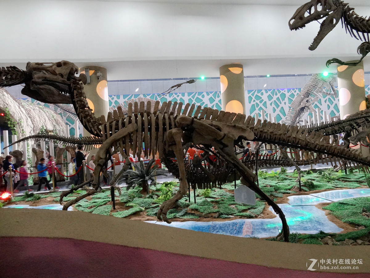 2019诸城恐龙博物馆-旅游攻略-门票-地址-问答-游记点评，诸城旅游旅游景点推荐-去哪儿攻略
