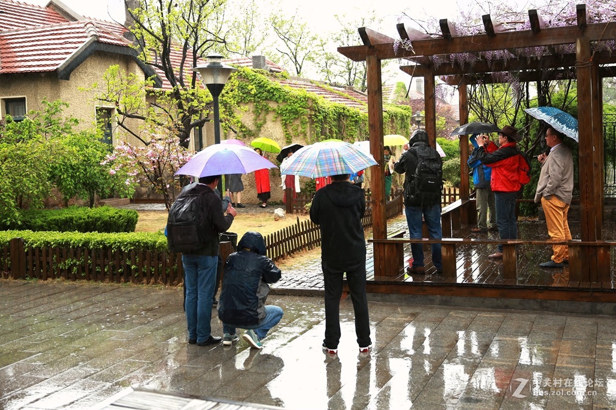 【坊茨小镇雨中行】—花絮随拍