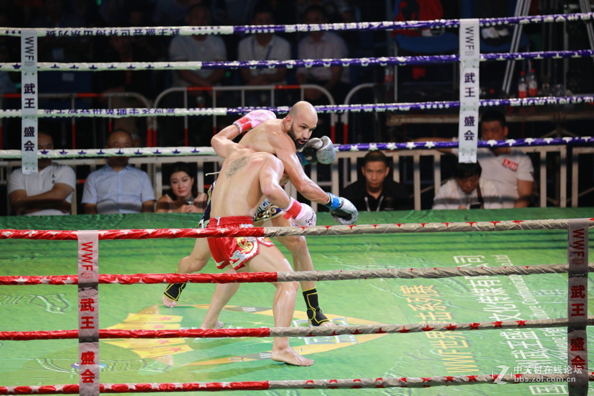 武王争霸～～～～～～﹗