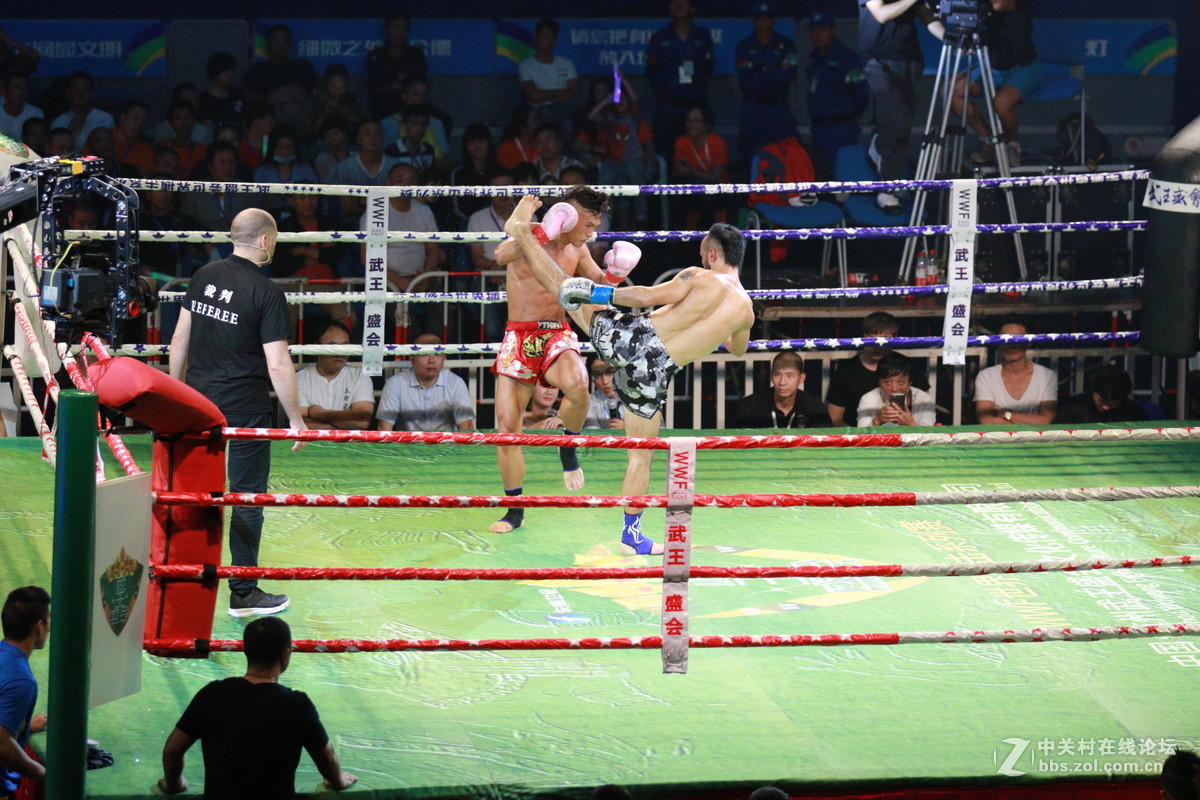 武王争霸～～～～～～﹗