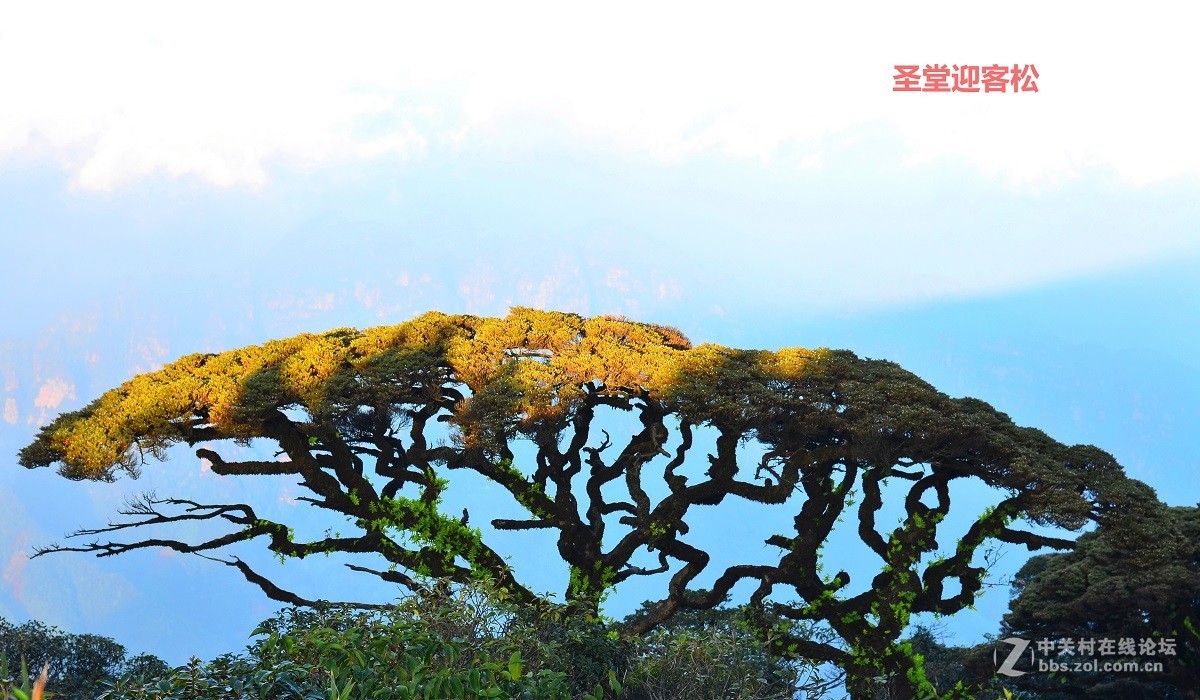 梦幻圣堂大瑶山(重发大图)