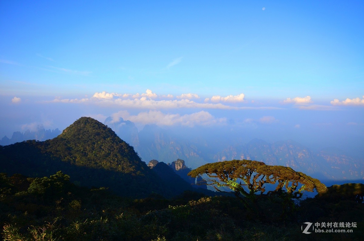 梦幻圣堂大瑶山(重发大图)