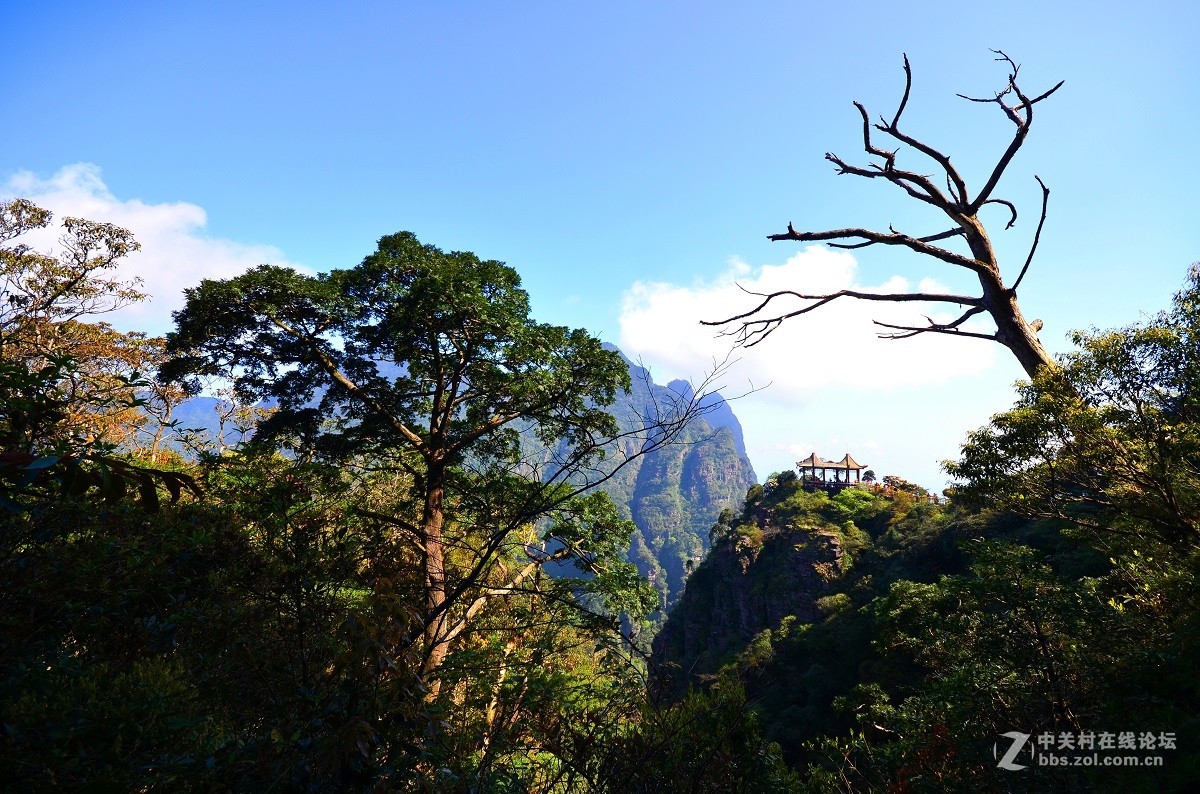 梦幻圣堂大瑶山(重发大图)