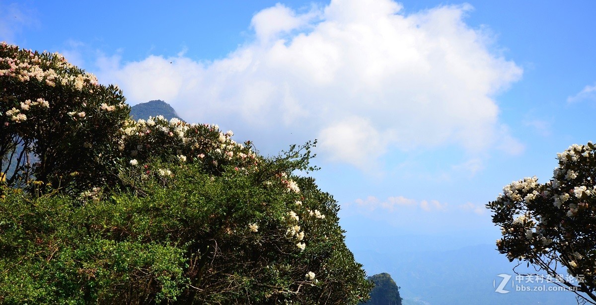 梦幻圣堂大瑶山(重发大图)