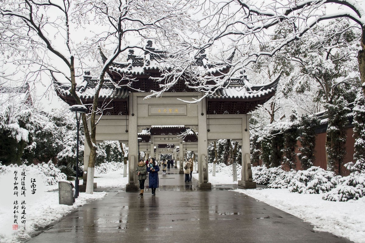 江南雪