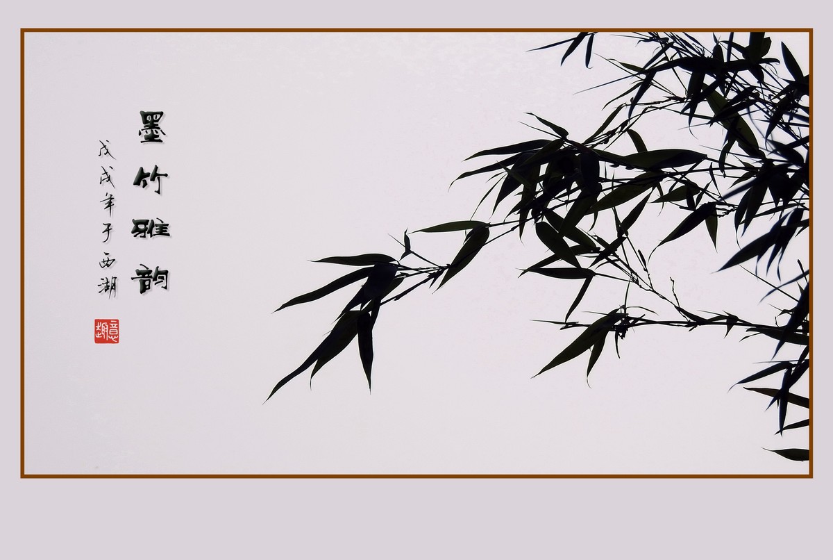 杭州瘦竹更幽雅