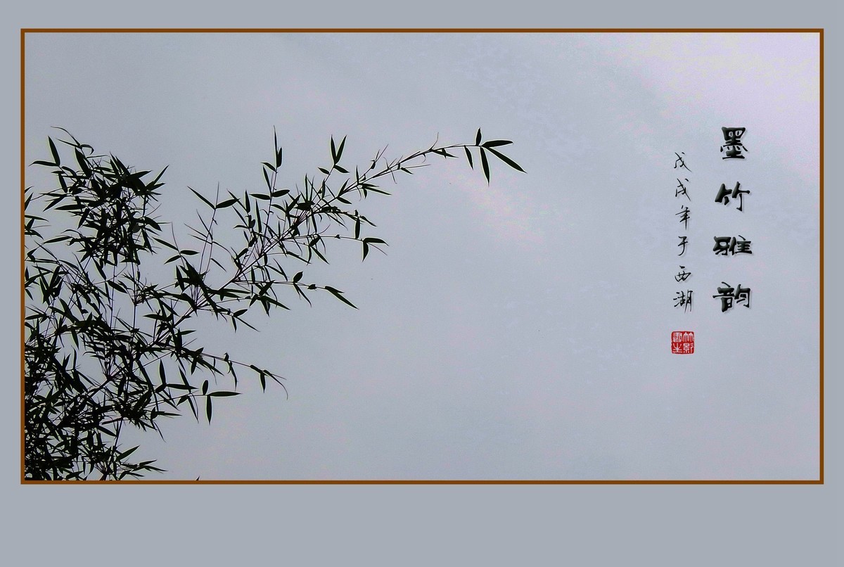 杭州瘦竹更幽雅