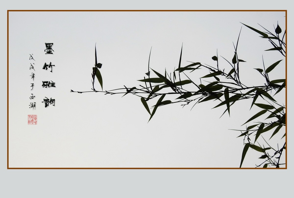 杭州瘦竹更幽雅