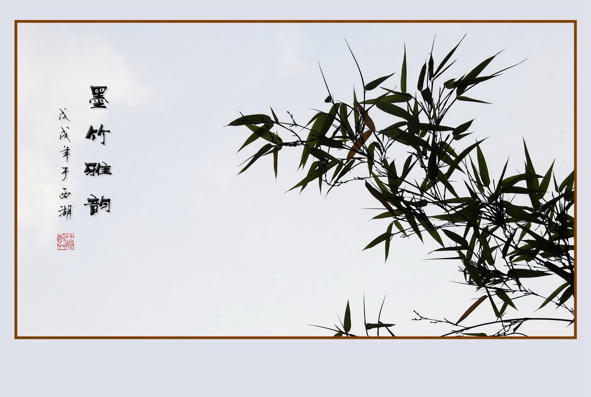 杭州瘦竹更幽雅