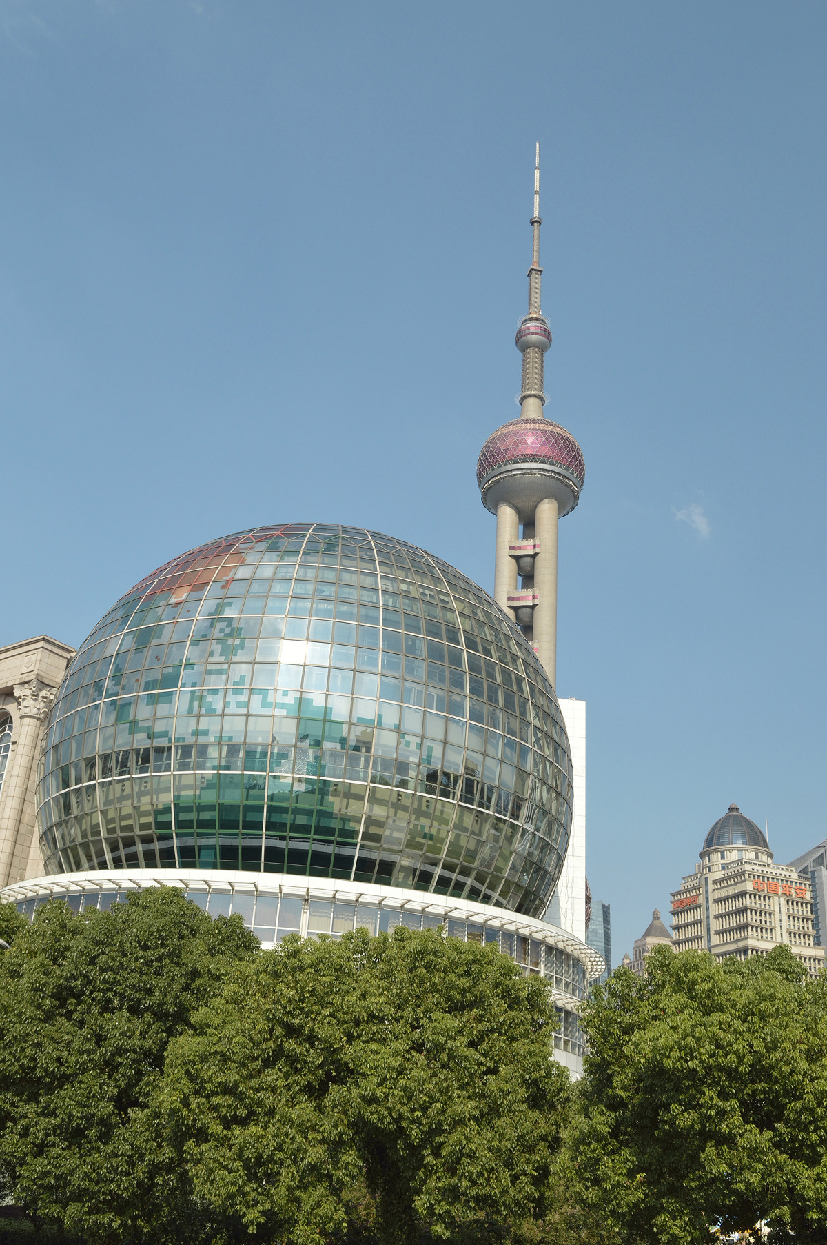 上海少有的好天气可我却不知道我这拍的是啥诚心求教我还有救吗