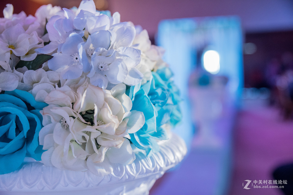 天津 国庆期间的婚礼跟拍 祝福新人