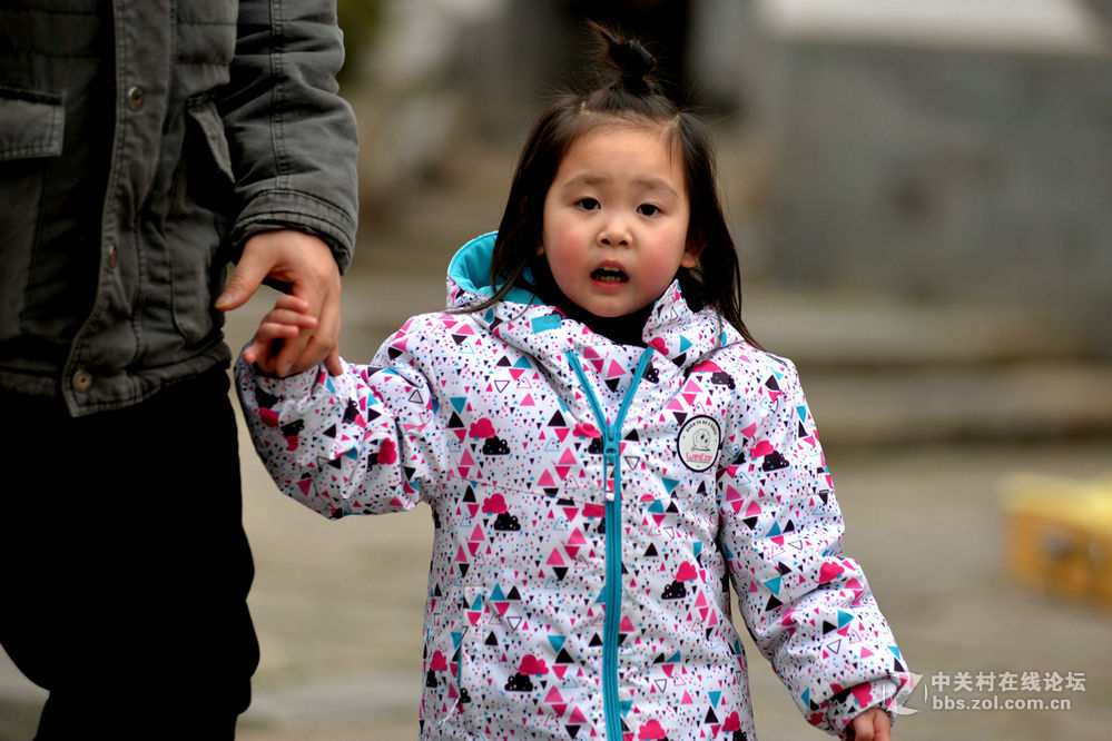 新入了一个80-200镜头，试拍了几张，请各位前辈批评指正。