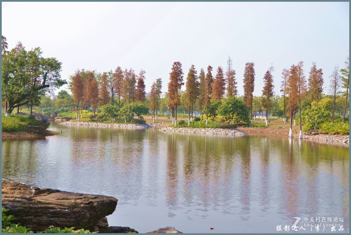 广州大学城生物岛
