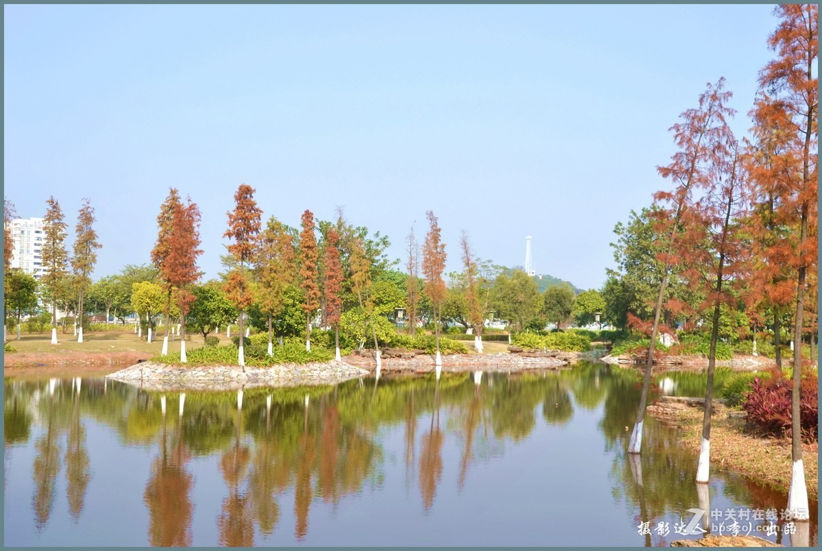 广州大学城生物岛
