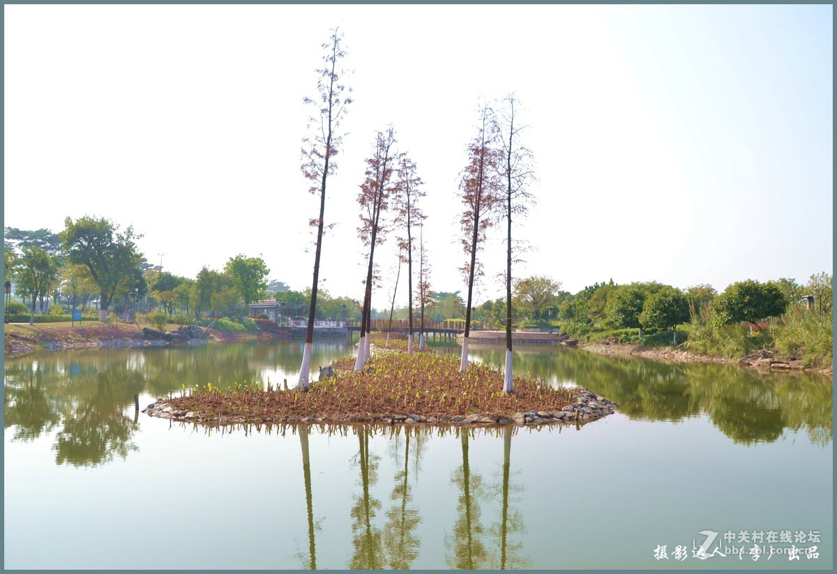 广州大学城生物岛