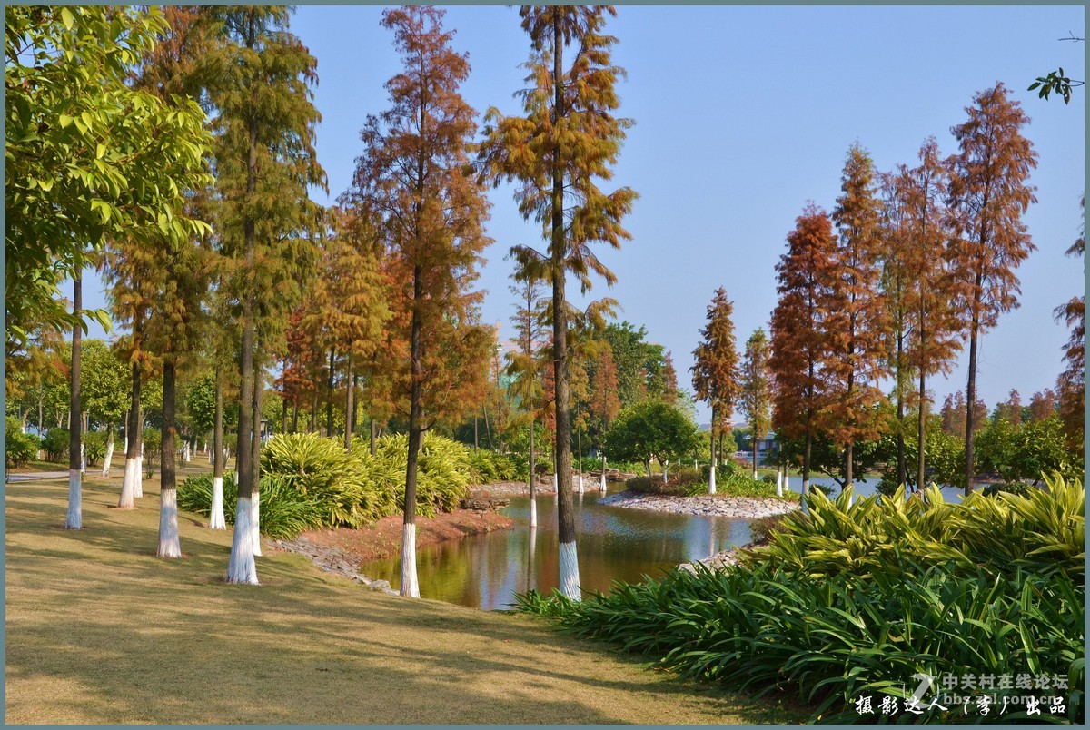 广州大学城生物岛