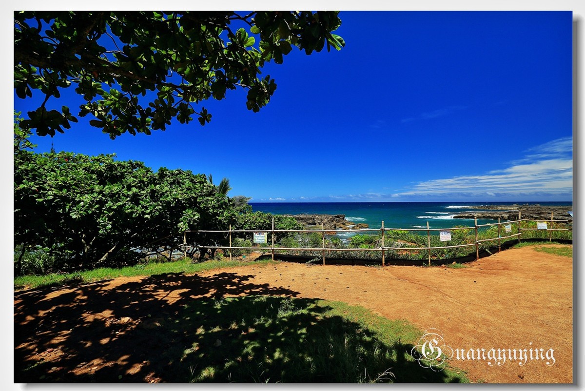 夏威夷印象（2）